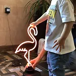 Hotel Flamingo 3*