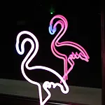 Flamingo Hotel 3*