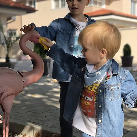Hotell Flamingo Plovdiv