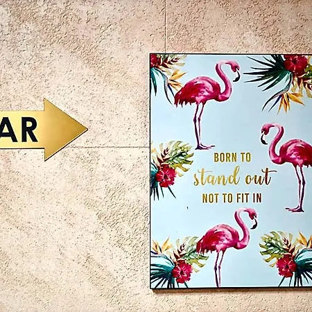 Flamingo بلوفديف