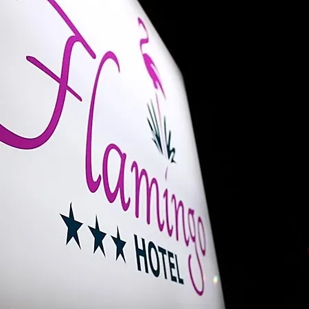 Flamingo فندق